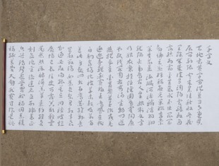 王蘧常章草千字文水写布 毛笔书法 清水练字万次练习