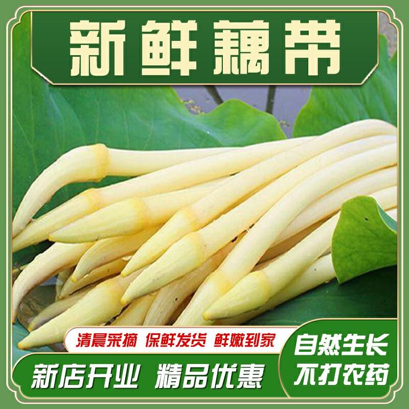 湖北新鲜藕带产地现抽现发清炒藕带脆嫩好吃农家自种