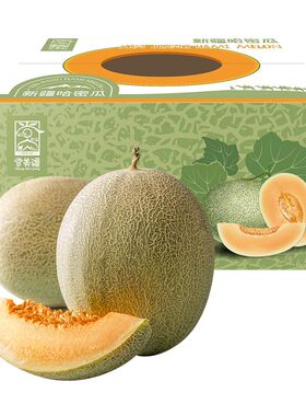 优素福甄选新疆大棚哈密瓜西州蜜25号甜瓜/顺丰特快