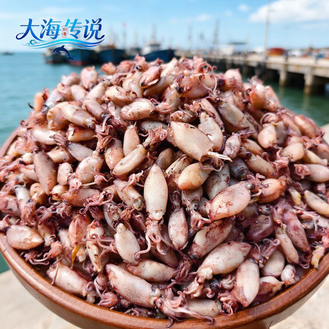北海淡晒海兔干货海兔子小鱿鱼仔淡晒笔管鱼乌贼干非特级海鲜水产