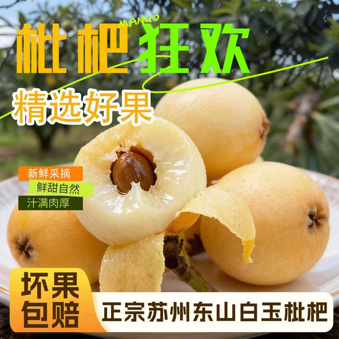 2026苏州东山白玉枇杷高端当季鲜果现摘现发皮薄肉细清甜多汁礼盒