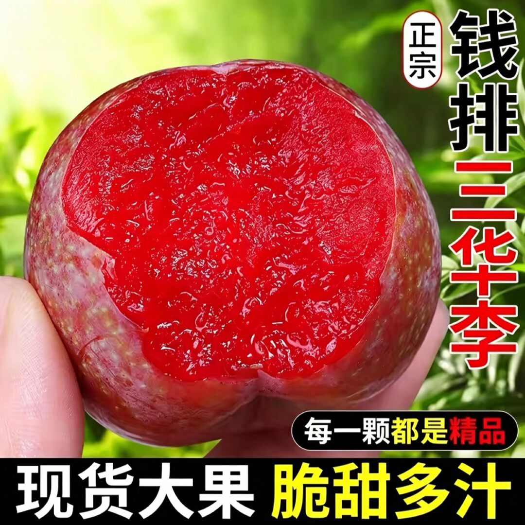 精选大果钱排银妃红心三华李酸脆可口孕妇水果现摘现新鲜当季