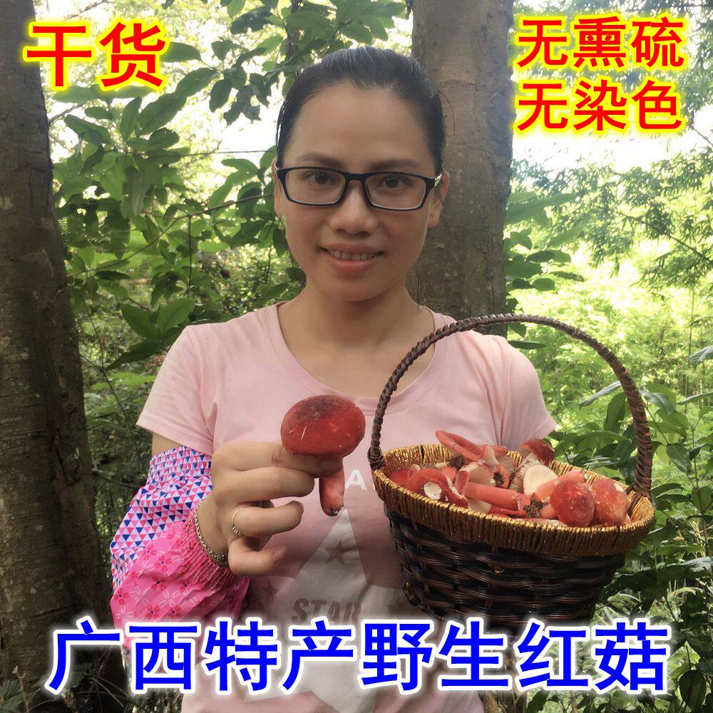 红菇红椎菌广西特产正宗野生红菇干货红蘑菇250克包邮