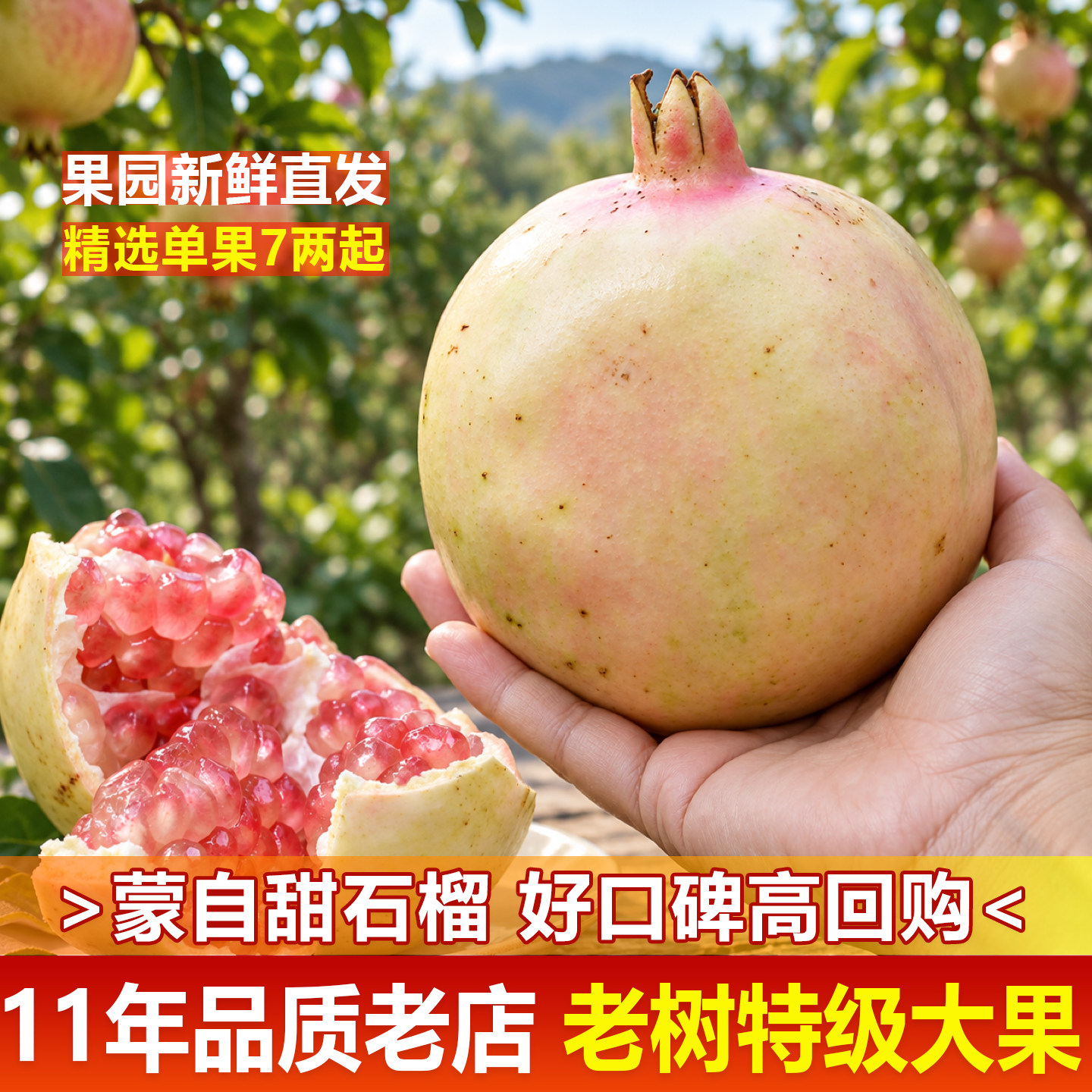 做了11年蒙自石榴的精品老店