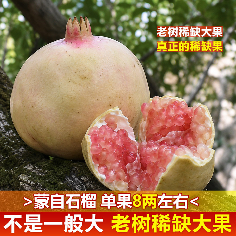 【稀缺超级大果】云南蒙自薄皮甜石榴老树绿籽应当季新鲜水果9斤
