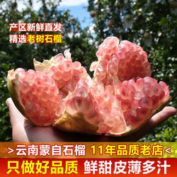云南蒙自甜石榴蒙自石榴绿籽薄皮老树大果石榴当应季孕妇新鲜水果