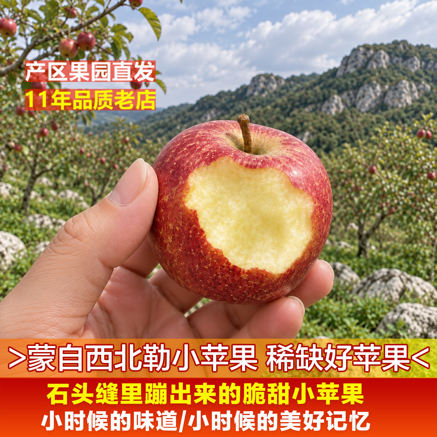 【脆甜小苹果】云南蒙自西北勒半野生脆甜冰糖心孕妇小孩新鲜水果