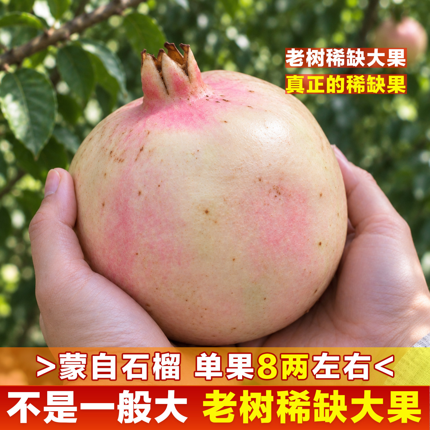 【稀缺超级大果】云南蒙自薄皮甜石榴老树精品绿籽应当季新鲜水果