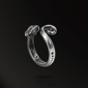 泰银复古衔尾蛇戒指尾戒对戒潮流设计原创元素小众个性礼物