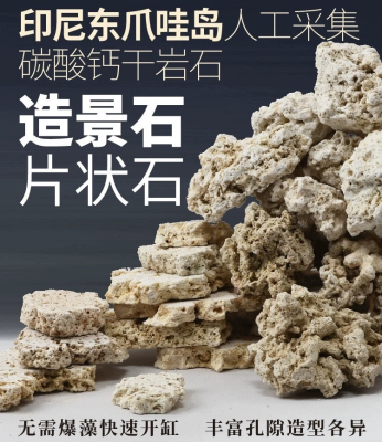 印尼爪哇石海鱼缸切片状天然干岩免爆藻死石培菌珊瑚缸爪哇石造景