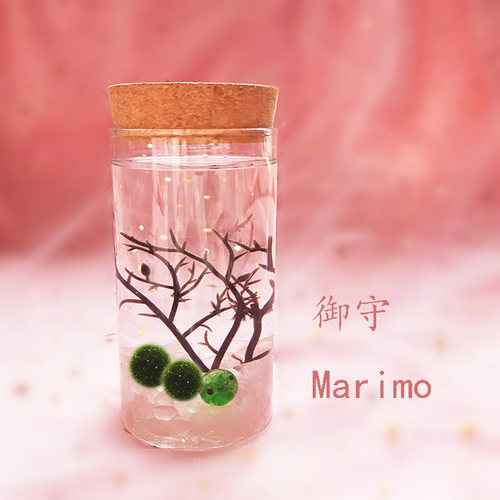 marimo幸福绿植水培负离子微生物