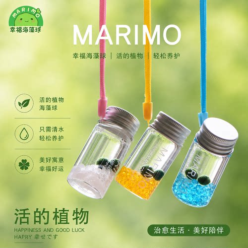 随身瓶幸福海藻球marimo
