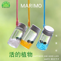 marimo幸福海藻球随身瓶创意迷你绿植水培微景观生态瓶负离子生物