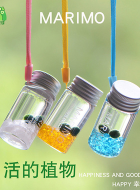marimo幸福海藻球随身瓶创意礼物迷你绿植水培微景观生态瓶小生物