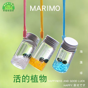 随身瓶幸福海藻球marimo