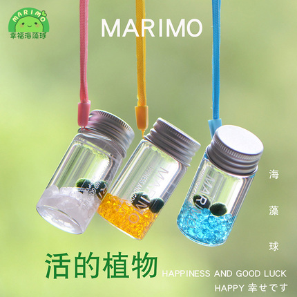 marimo幸福海藻球随身瓶创意礼物迷你绿植水培微景观生态瓶小生物