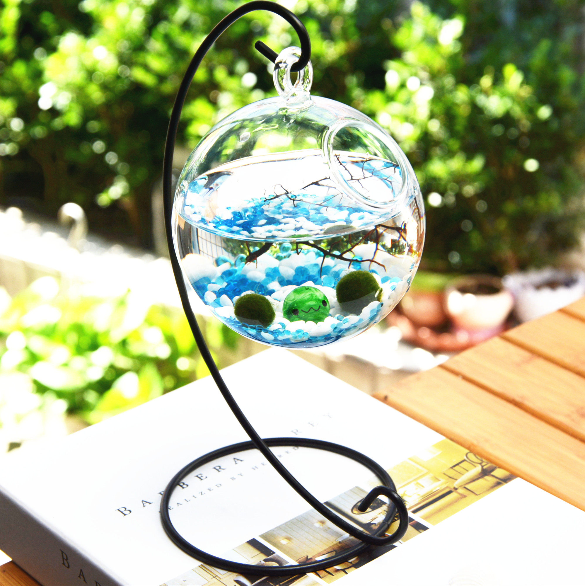 marimo海藻球水培微景观藻球微生物景观瓶海草球植物海澡球铁架瓶