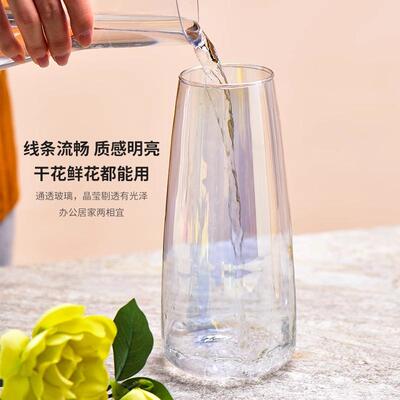 北欧ins风简约现代透明玻璃花瓶