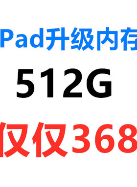 ipadmini24air1扩容pro扩容量256G换64G升级128G内存增加硬盘512G