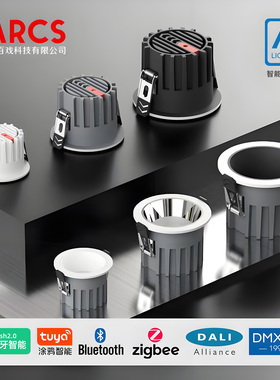 高档高端嵌入式筒灯DMX512无主灯涂鸦智能调光调色0-10V天花灯