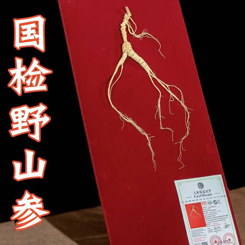 东北国检野山参山参二等60公分 长白山人参野山参礼盒滋补送礼