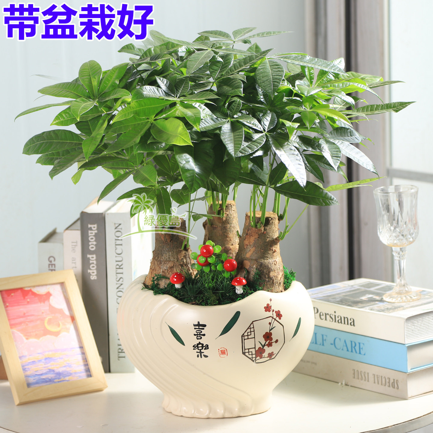 大棵发财树客厅室内盆栽带盆栽好办公室绿植物开业新居收银台桌面,鲜花速递/花卉仿真/绿植园艺,大型绿植/成品组合盆栽,淘宝优惠券,粉丝福利购,淘宝优惠卷