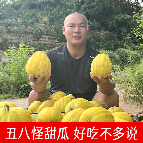 贵州香瓜丑八怪5斤装当季新鲜水果甜瓜八方瓜脆甜香甜可口
