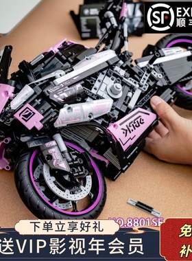 宝马M1000RR摩托车积木模型拼装机械组高难度男儿童益智玩具礼物