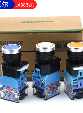 自锁复位22mm平头LA38-11DNZS带LED灯按钮开关ZHRIVOER瑞沃尔按键