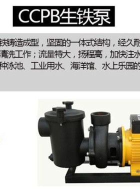 大流量高扬程CCPB 系列 按摩浴池 游泳池循环过滤铸铁泵