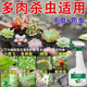 多肉杀虫剂花卉植物通用杀菌药除白虫家用药花草蚧壳虫除虫剂专用