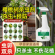 樱桃树杀虫适用打虫药车厘子驱虫剂除虫药虫子虫防虫用药虫害花树