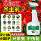 朱顶红杀虫剂除蚜虫白粉虱小飞虫适用药花盆栽长虫防虫驱害虫喷雾