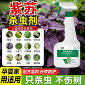 花卉杀虫剂植物紫苏杀虫非专用药喷雾剂白粉虱除虫害治蚜虫红蜘蛛