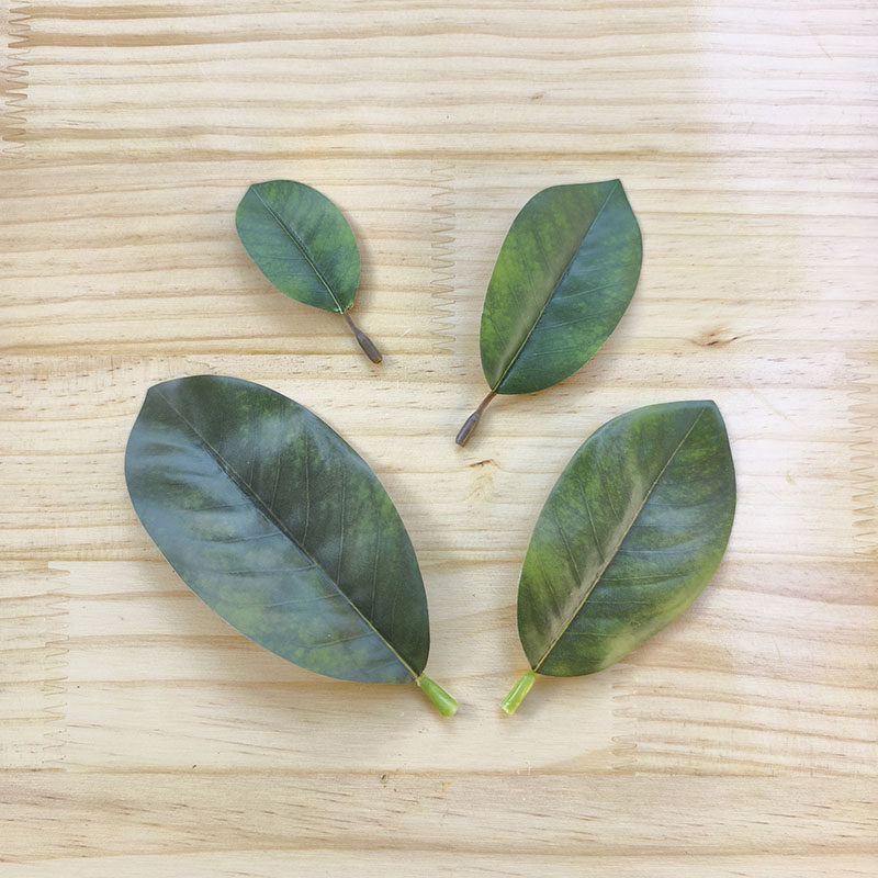 单片仿真玉兰叶绿色假树叶插枯树枝装饰假叶片签名签到可写字绿叶,鲜花速递/花卉仿真/绿植园艺,仿真绿植,淘宝优惠券,粉丝福利购,淘宝优惠卷