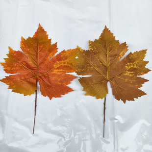 单片枯黄大叶子假树叶枫叶梧桐叶秋冬天枯树叶假树叶带杆仿真叶子