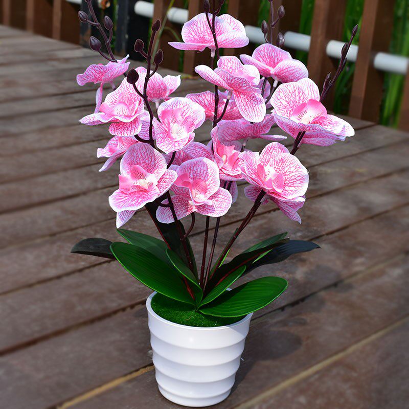 客厅装饰塑料仿真花艺摆件室内摆设干花束盆栽茶几餐桌假花蝴蝶兰