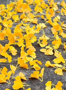 单片仿真银杏叶片单个落叶假叶子婚庆橱窗装饰黄色银杏枯叶塑料叶