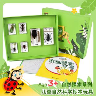 幼儿园科学探索发现昆虫爬行类标本儿童自然探索玩具农田里的害虫