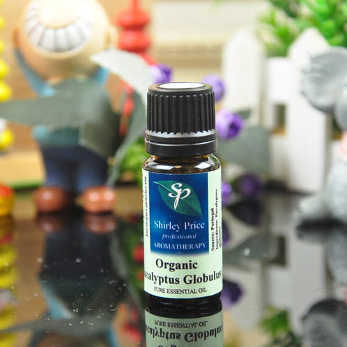 英国SP有机蓝胶尤加利精油