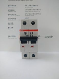 ABB小型断路器S202P-C63 (DE)双进双出空气开关2P63A双极进口总开