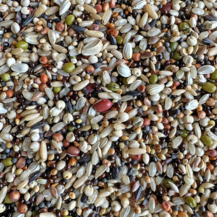 魔鬼饲料鸽粮无玉米小颗粒饲料鸽子食粮营养斑鸠特级信鸽专用包邮