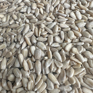 油葵仁 瓜子仁 瓜子米 仓鼠 鹦鹉 鸽子 鸽粮 鸟食鸟粮饲料无壳