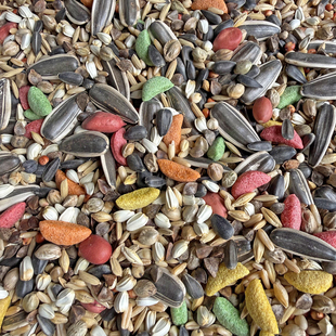 中大型鹦鹉营养粮滋养丸带壳饲料鸟粮鸟食纸壳麻子 灰鹦鹉自配粮