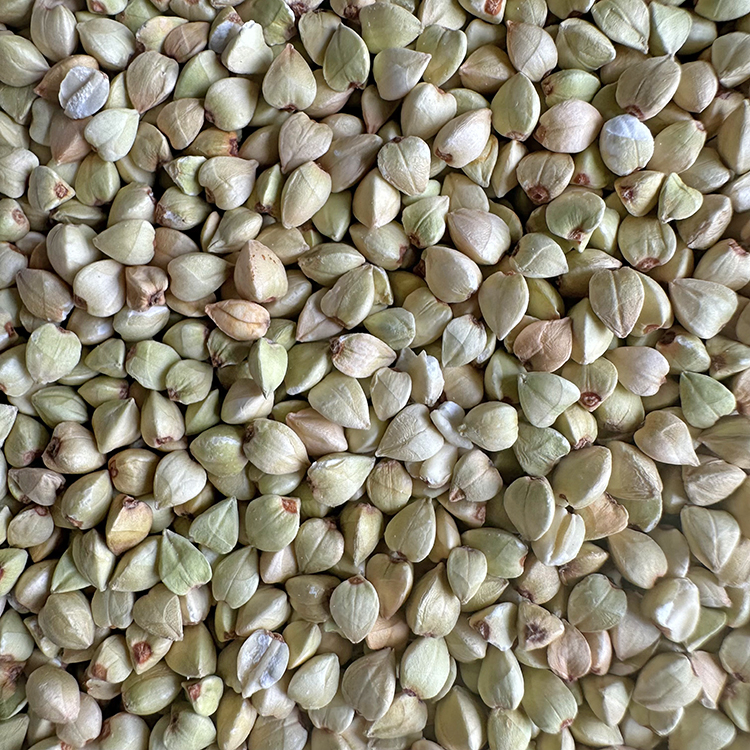 无壳荞麦荞麦仁鹦鹉鸟粮