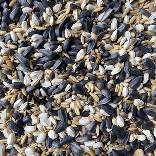 小太阳和尚中大型鹦鹉混合粮食玄凤蜡嘴铜嘴鸟粮鹦鹉鸟粮 5斤