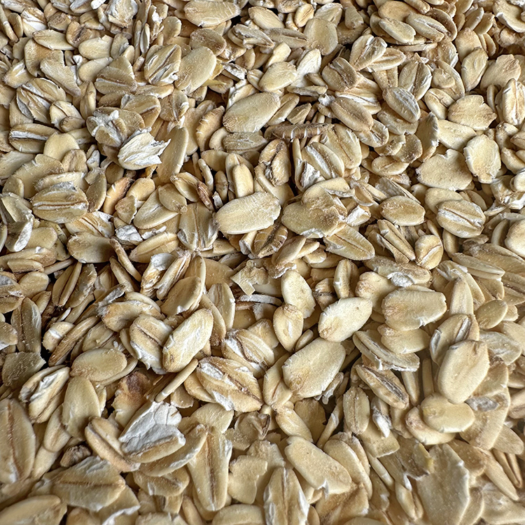 燕麦米小宠零食鸟食鸟粮