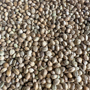 麻子 火麻子 麻籽 火麻仁 鹦鹉鸟粮鸟食饲料 纸壳麻子 鸽粮饲料