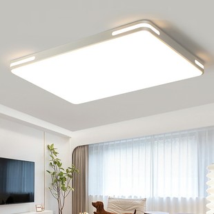 新款 led吸顶灯客厅灯简约现代大气家用长方形卧室灯具餐厅房间灯