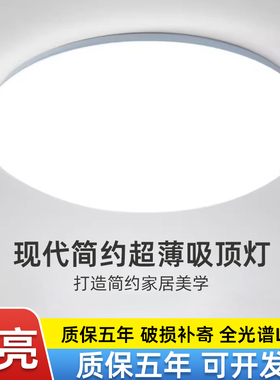 LED吸顶灯卧室灯现代简约大气客厅灯圆形过道走廊卫生间阳台灯具